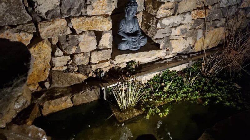 393d253c-a192-4171-92fc-fdb9d3a02912