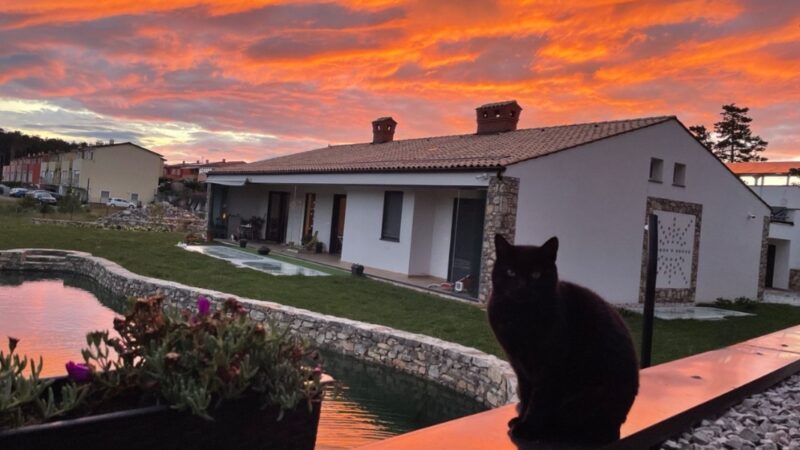 Screenshot_20220529-213117_Telegram