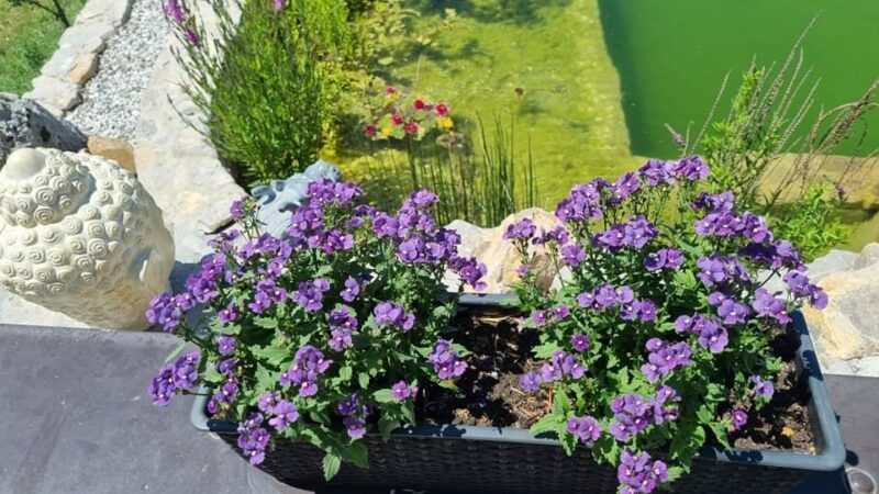 FB_IMG_1709850159569