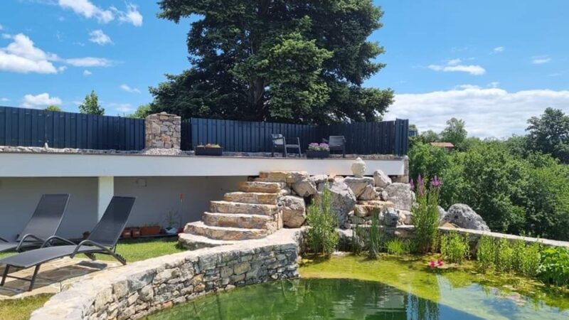 FB_IMG_1709850173066