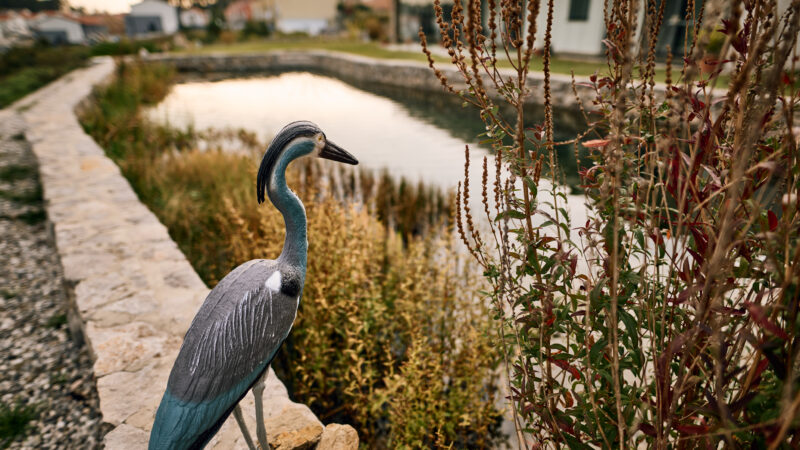 _Z8V3255_HIRES - Copia